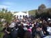 t_d_agapis 021